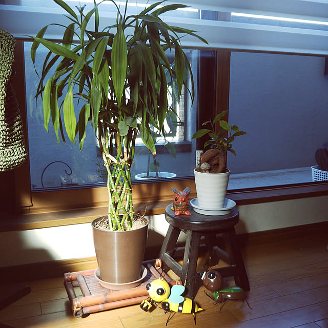 chantaeさんの部屋
