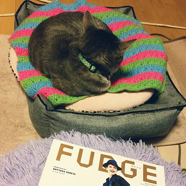 oyumiさんの実例写真