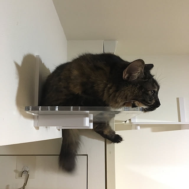 mikomaruさんの実例写真