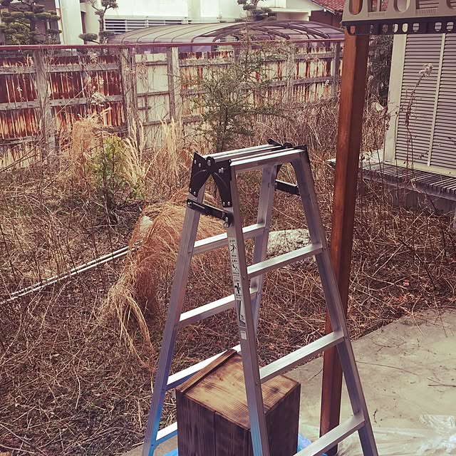 mitubachiさんの実例写真
