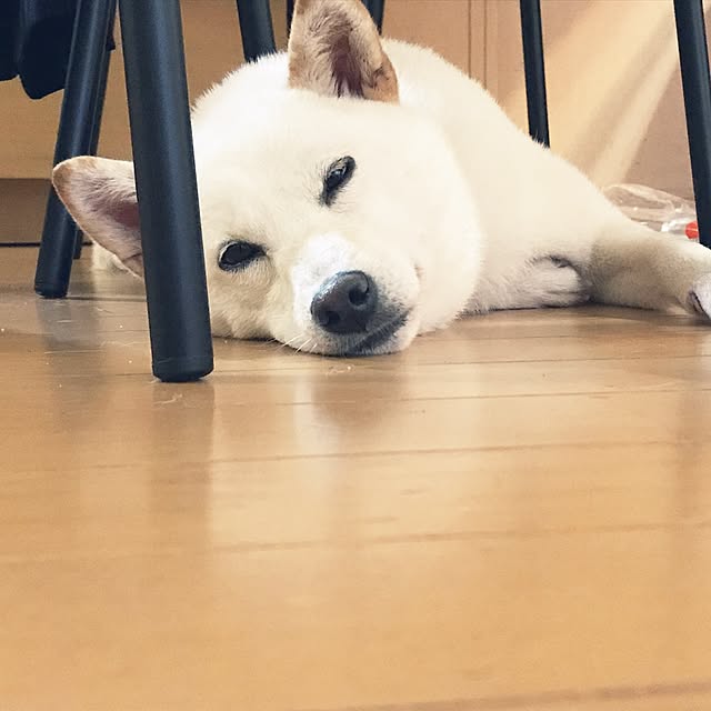 pillowsさんの実例写真