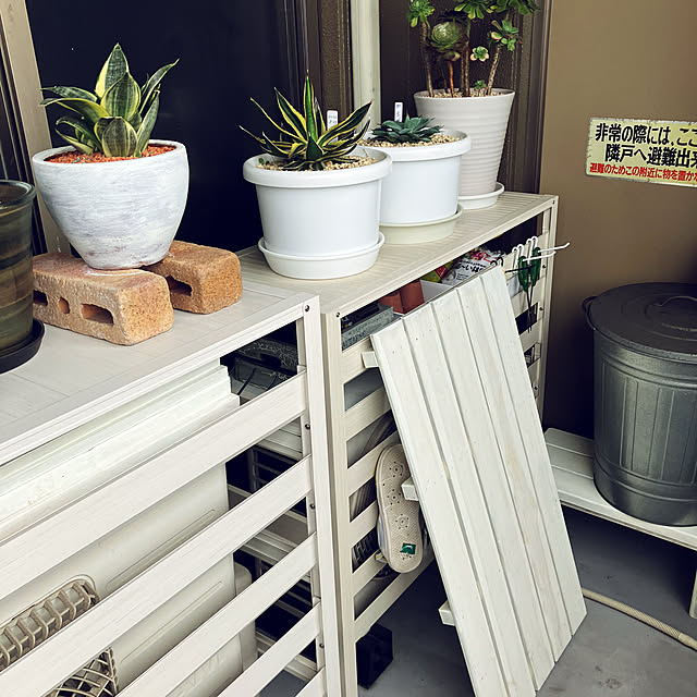 koshiregutyoさんの部屋