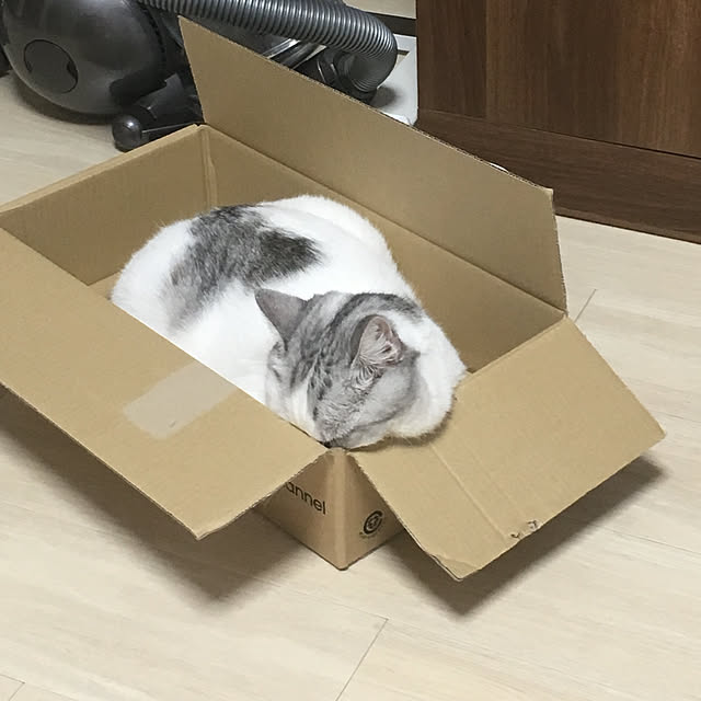 erichanさんの実例写真