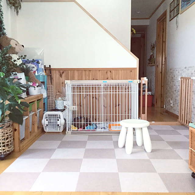 satosanさんの実例写真