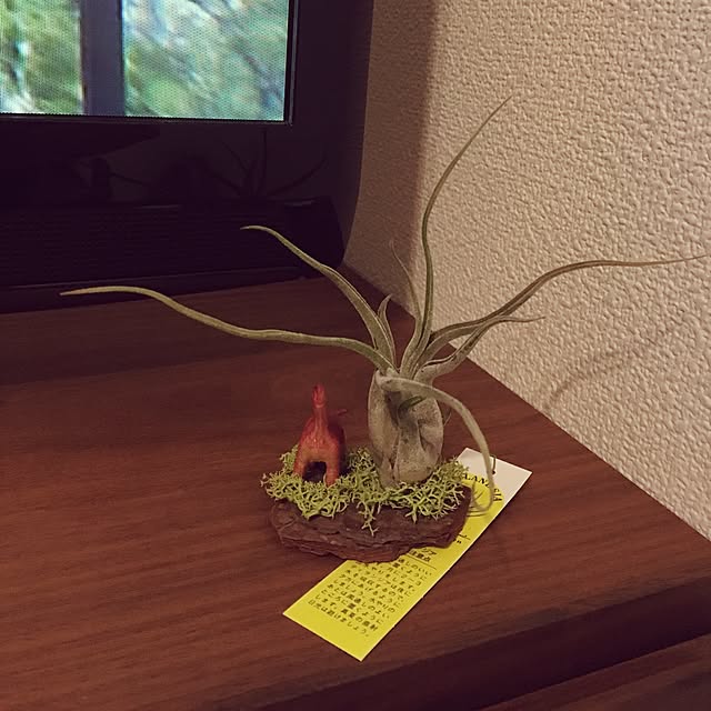Natsukiさんの実例写真