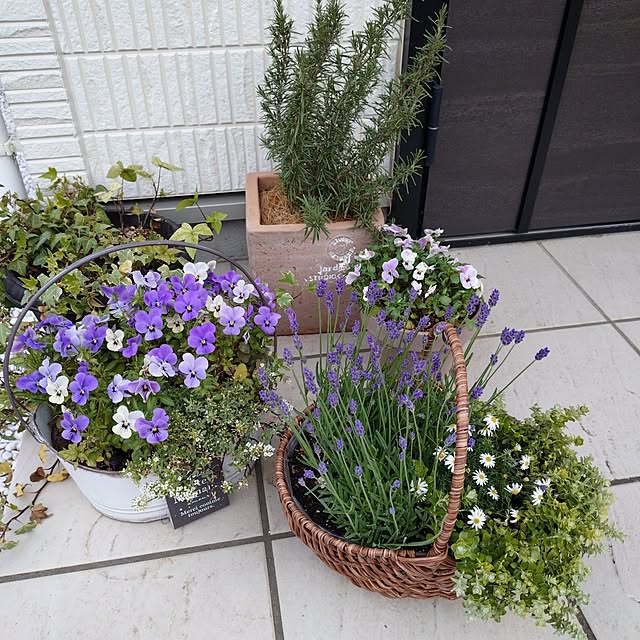 coconathuさんの部屋