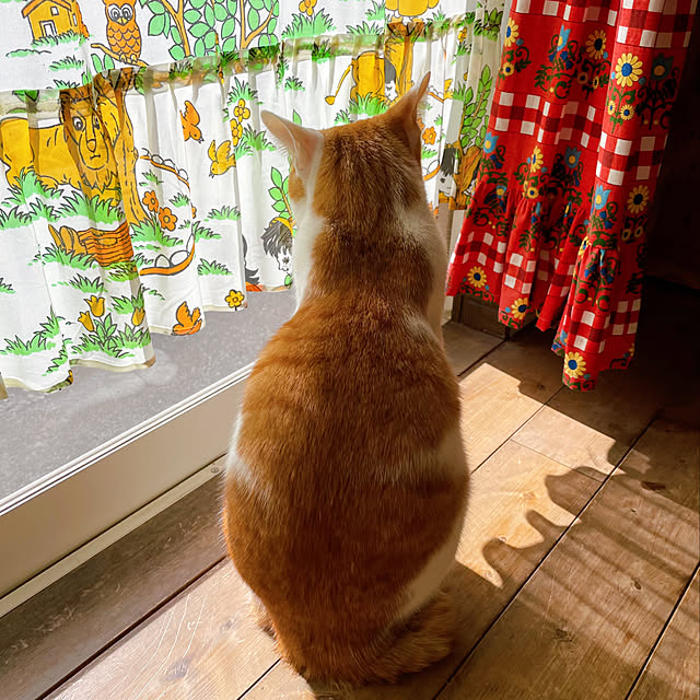 meさんの実例写真
