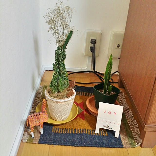 cccさんの実例写真