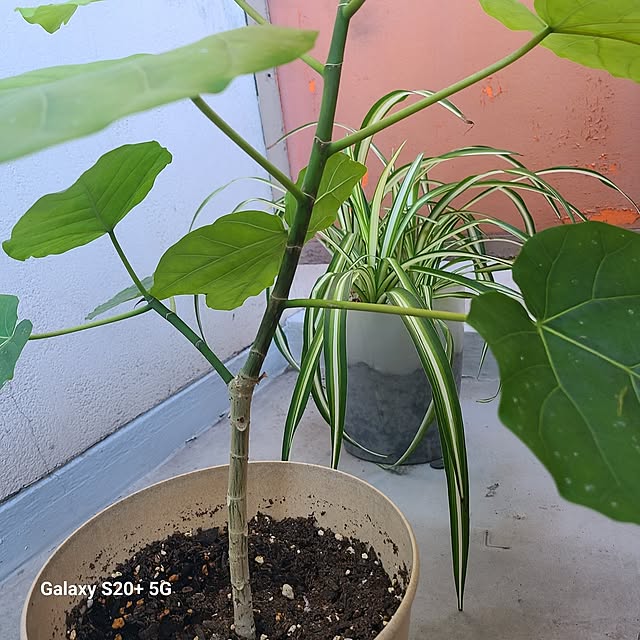monnさんの部屋