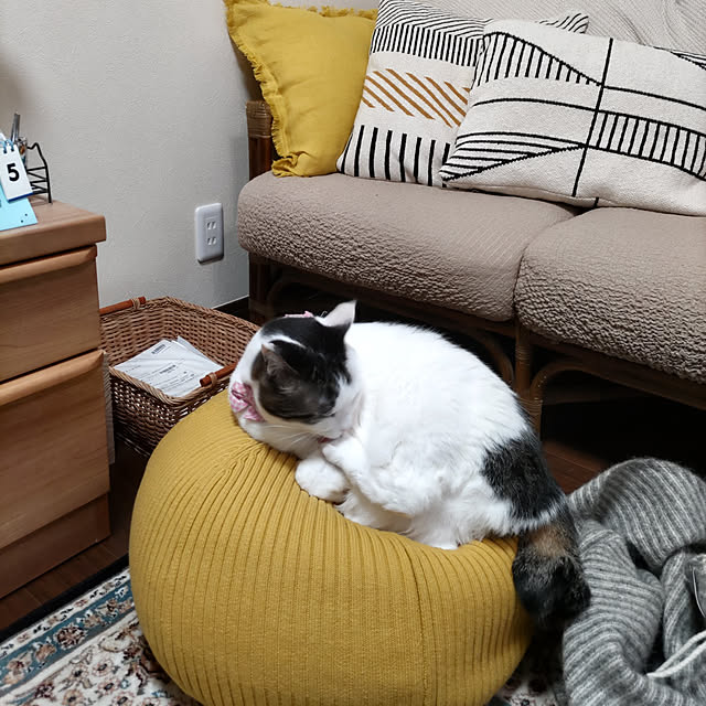 yuuさんの実例写真