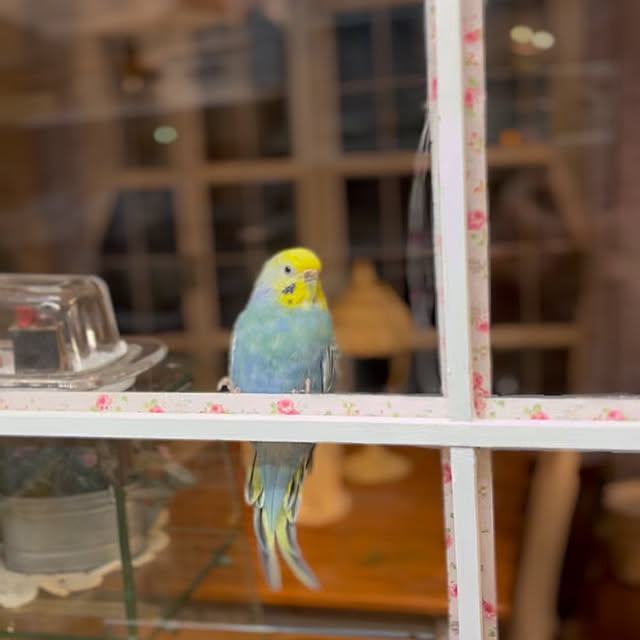 Atsukoさんの部屋