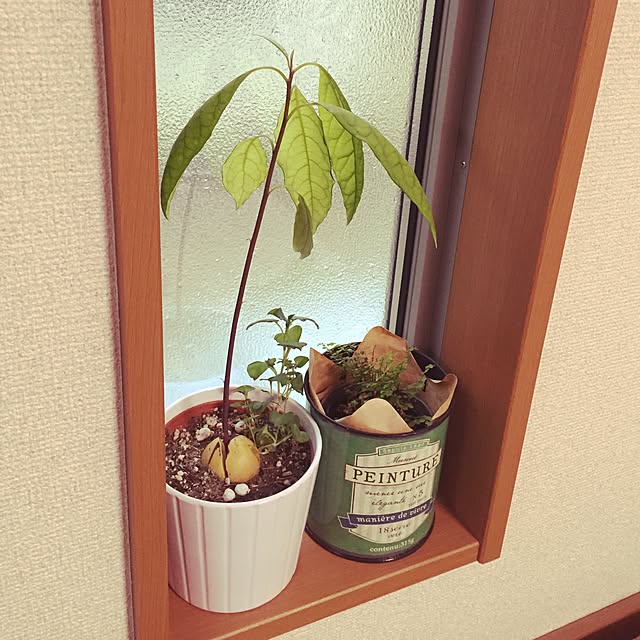 tomoさんの実例写真
