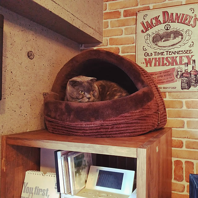 daiさんの実例写真