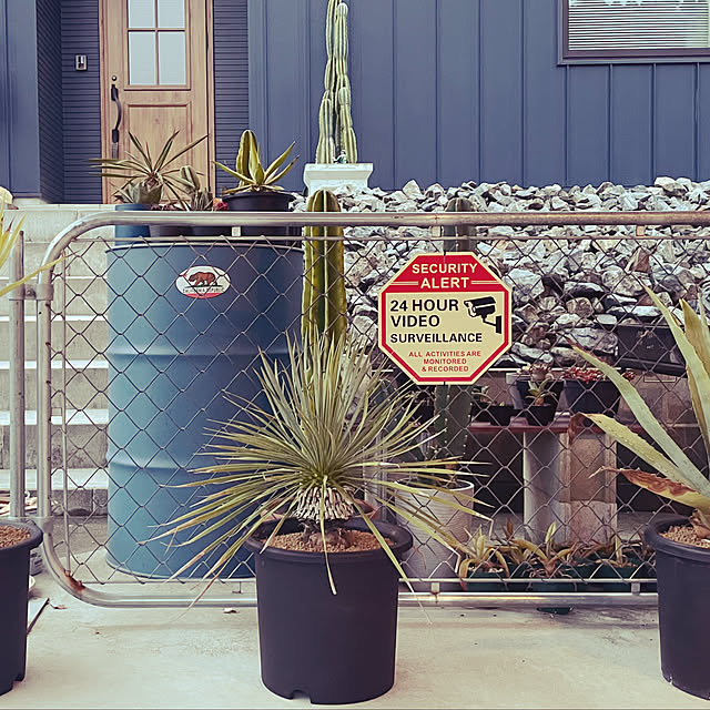 daisukeさんの実例写真