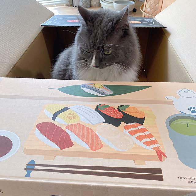 mangomilkさんの部屋
