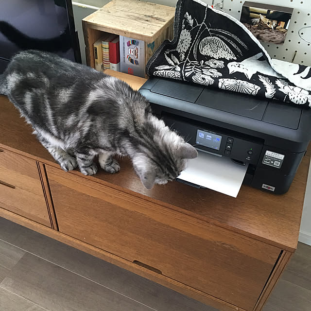 mikomaruさんの実例写真