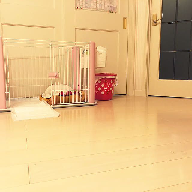 linさんの実例写真