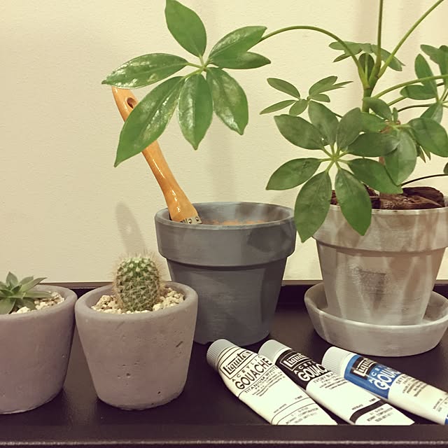 ao___.さんの実例写真