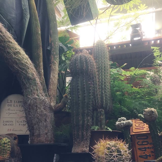 edenさんの実例写真