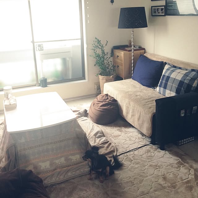 kotahiguさんの実例写真