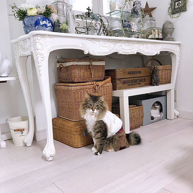 yuchiさんの実例写真
