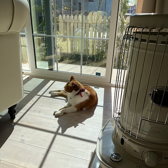 sakuraさんの実例写真