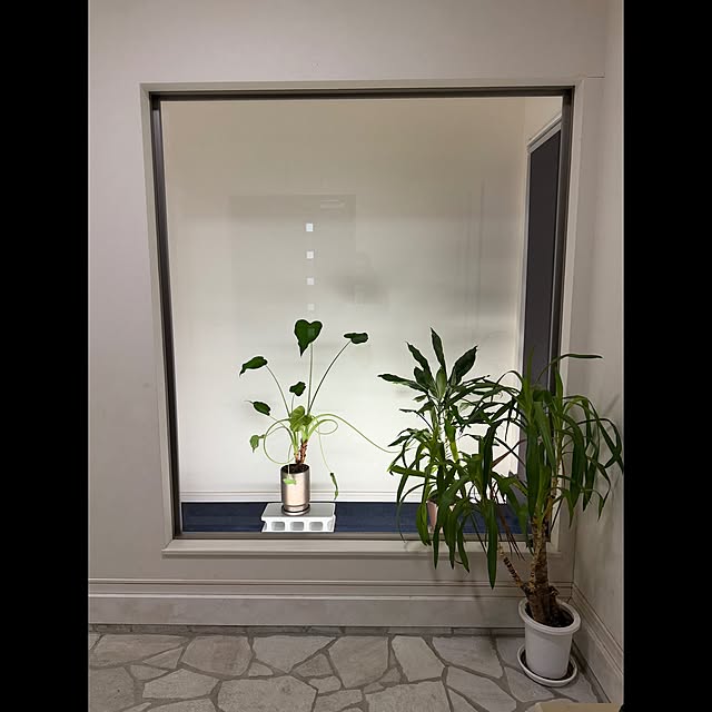 takeshiさんの実例写真