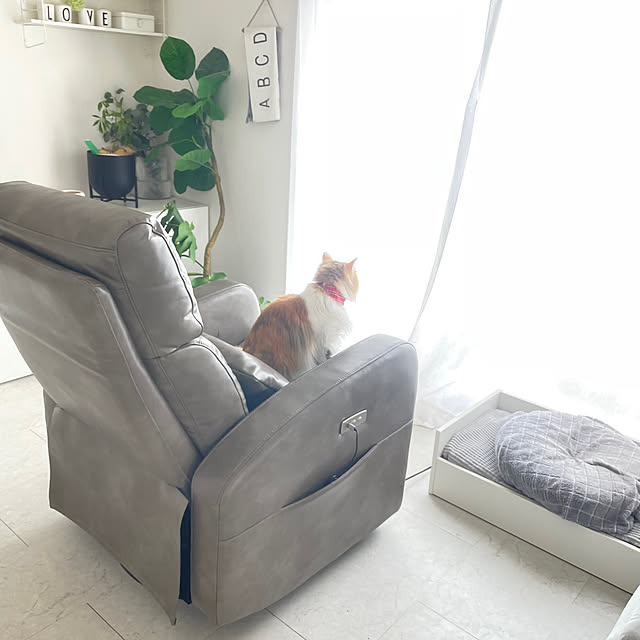 mya___kさんの実例写真
