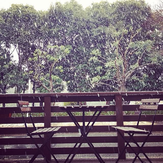 accoさんの実例写真