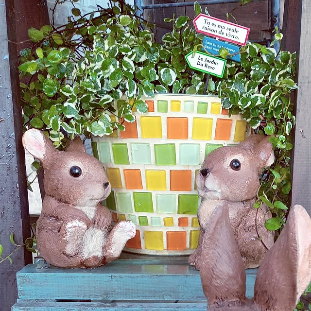 mocomocoさんの部屋