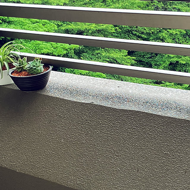 koshiregutyoさんの部屋