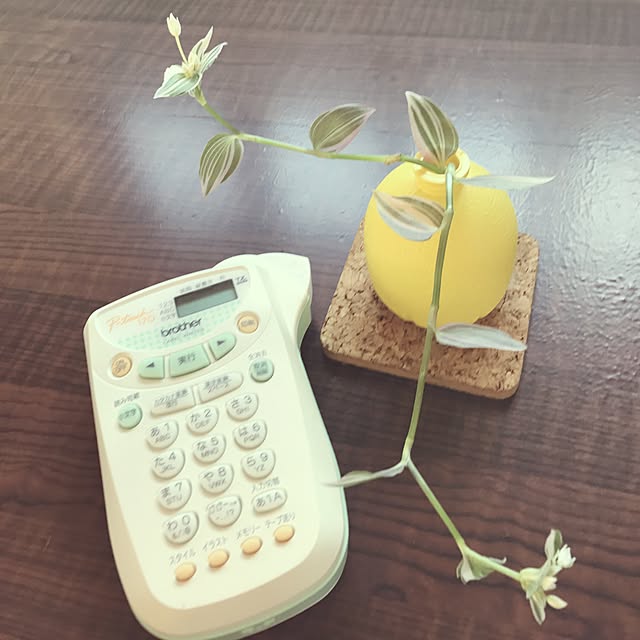 ariceさんの実例写真