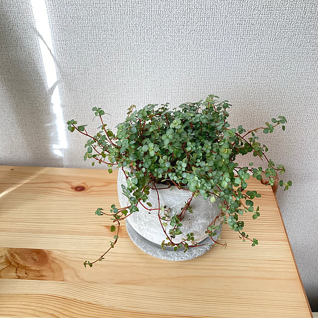 Yukiさんの実例写真