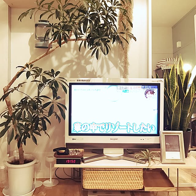 Sanomaさんの実例写真