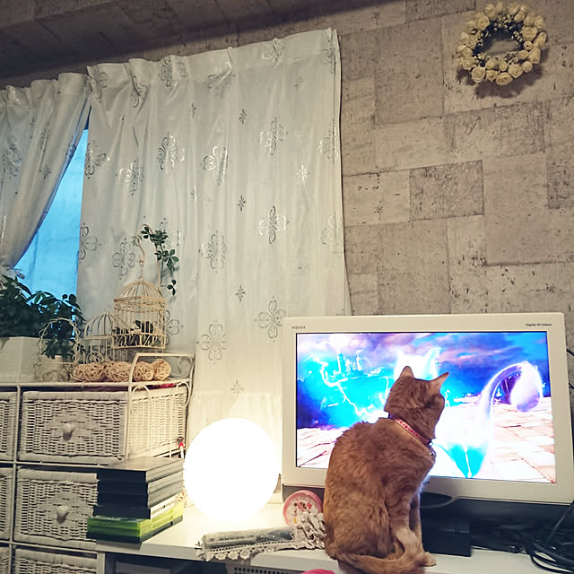 asuminさんの実例写真