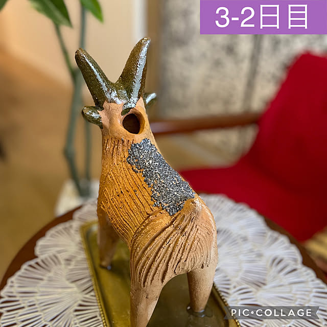 aureaさんの実例写真