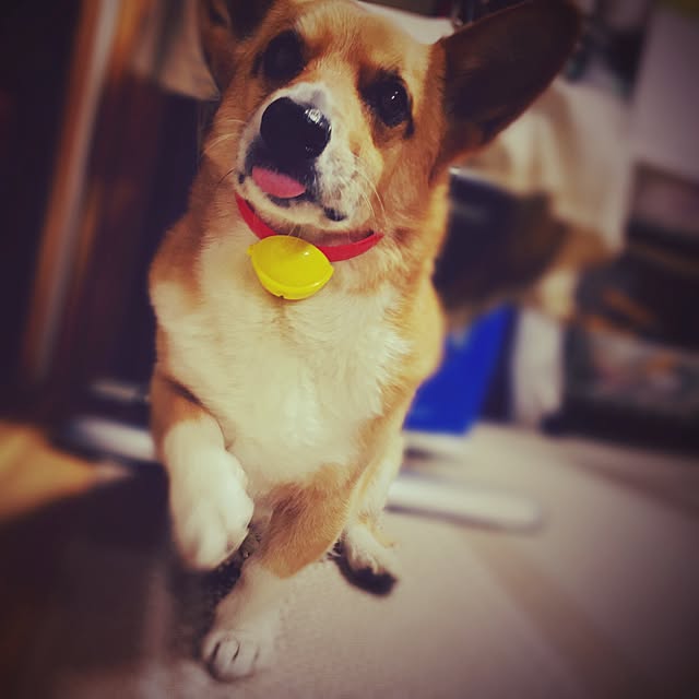 EMIさんの実例写真