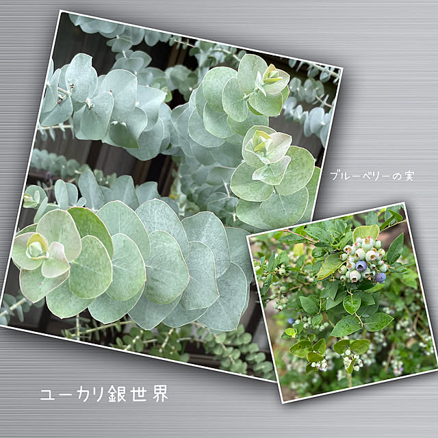 buchiさんの部屋