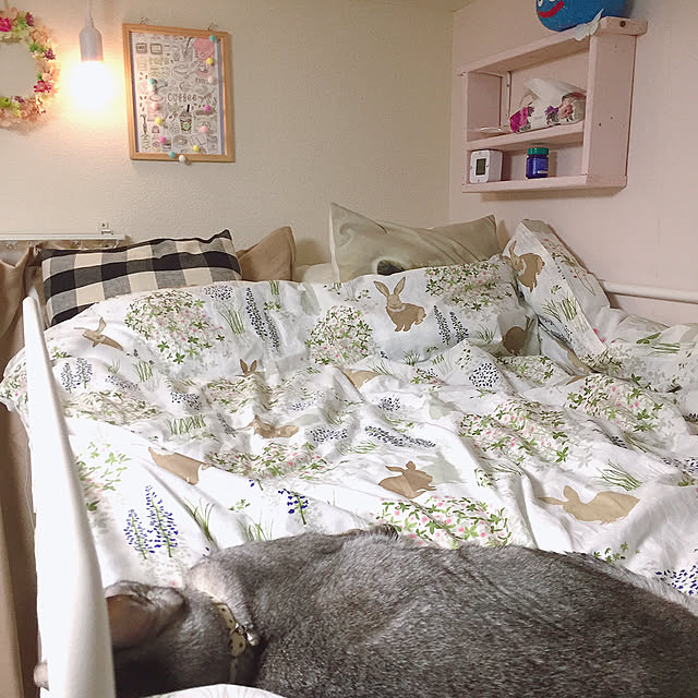 kotoriさんの実例写真