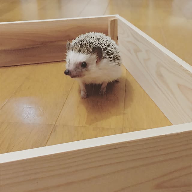 yu_kiさんの実例写真
