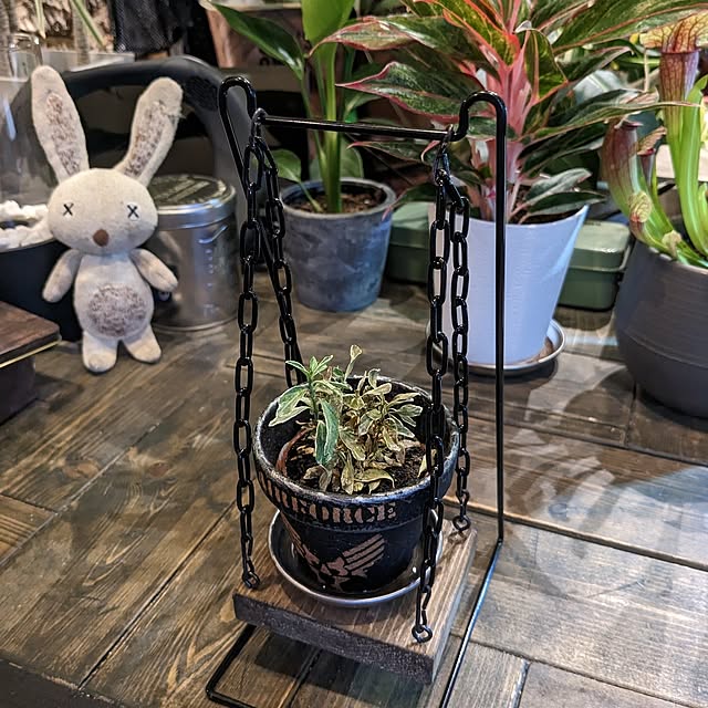 GINさんの部屋