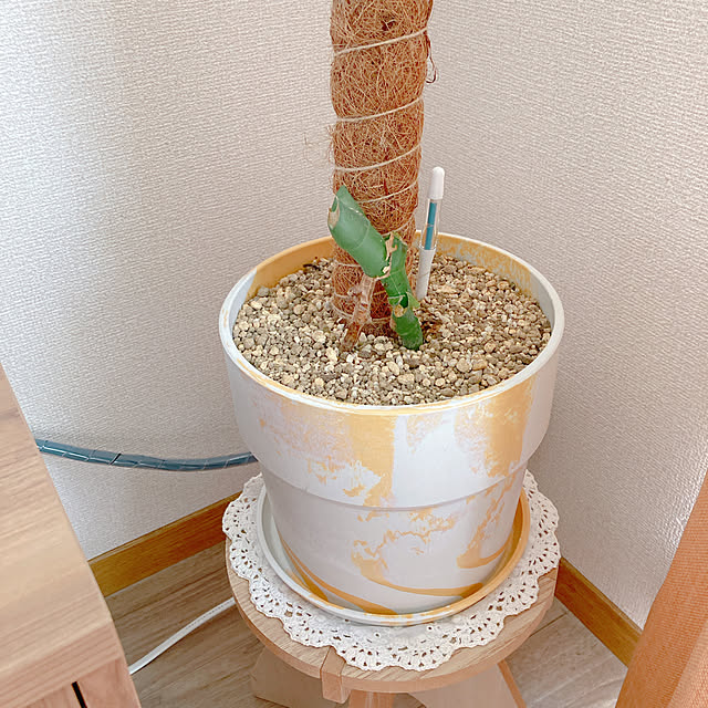 yuyuさんの部屋