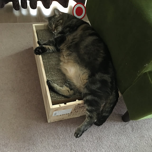 mikomaruさんの実例写真