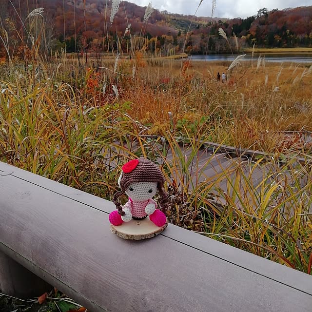 fujiyayuさんの実例写真