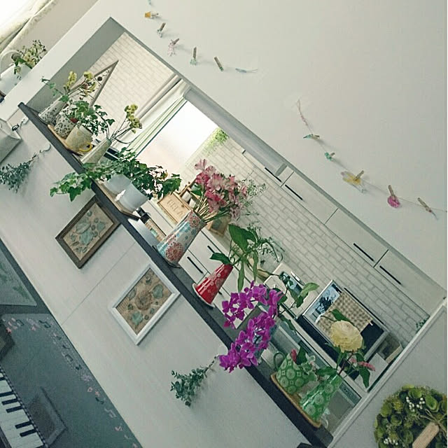 tata-kukuさんの実例写真