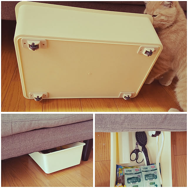 yuuuさんの実例写真