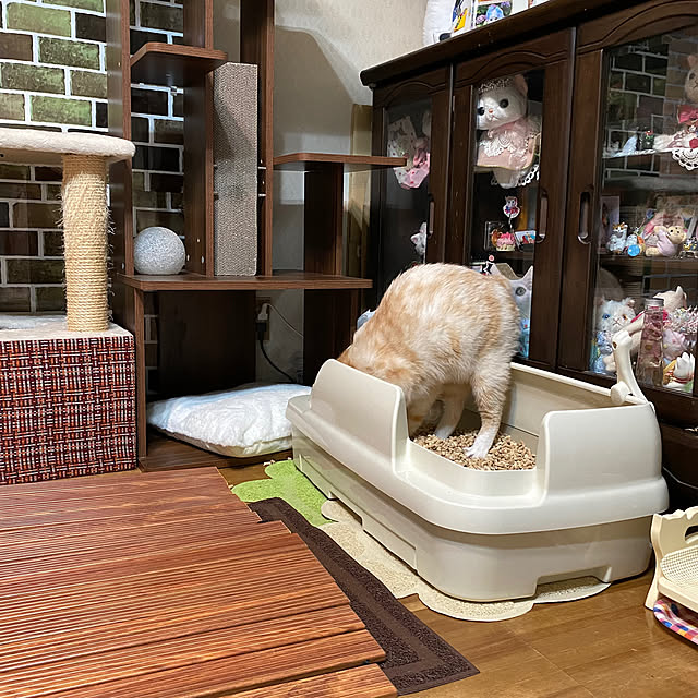 ike2910さんの部屋
