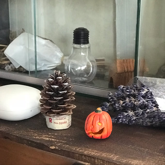 Hidamari-Rさんの実例写真