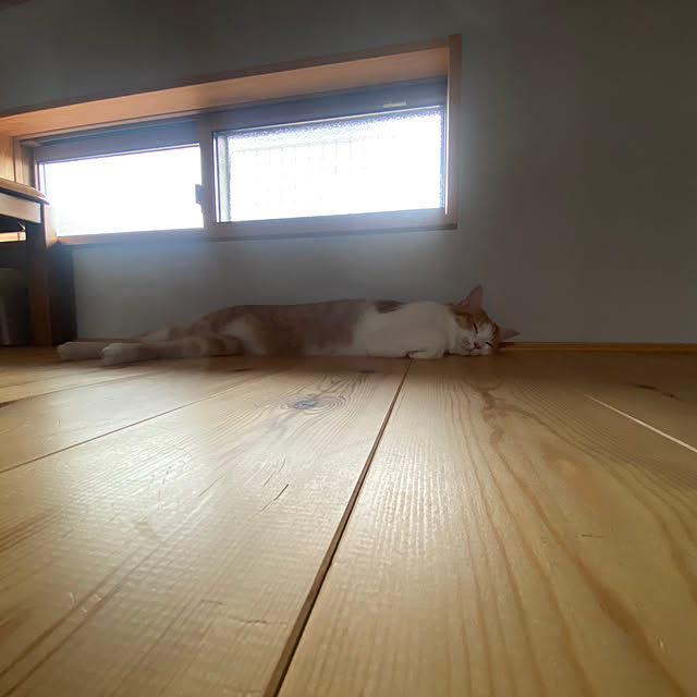 senbei.sakuramochiさんの実例写真