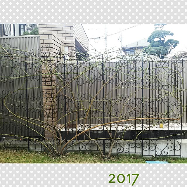 cheeさんの実例写真
